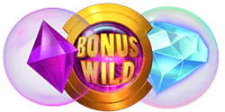 Символы Bonus и Wild.